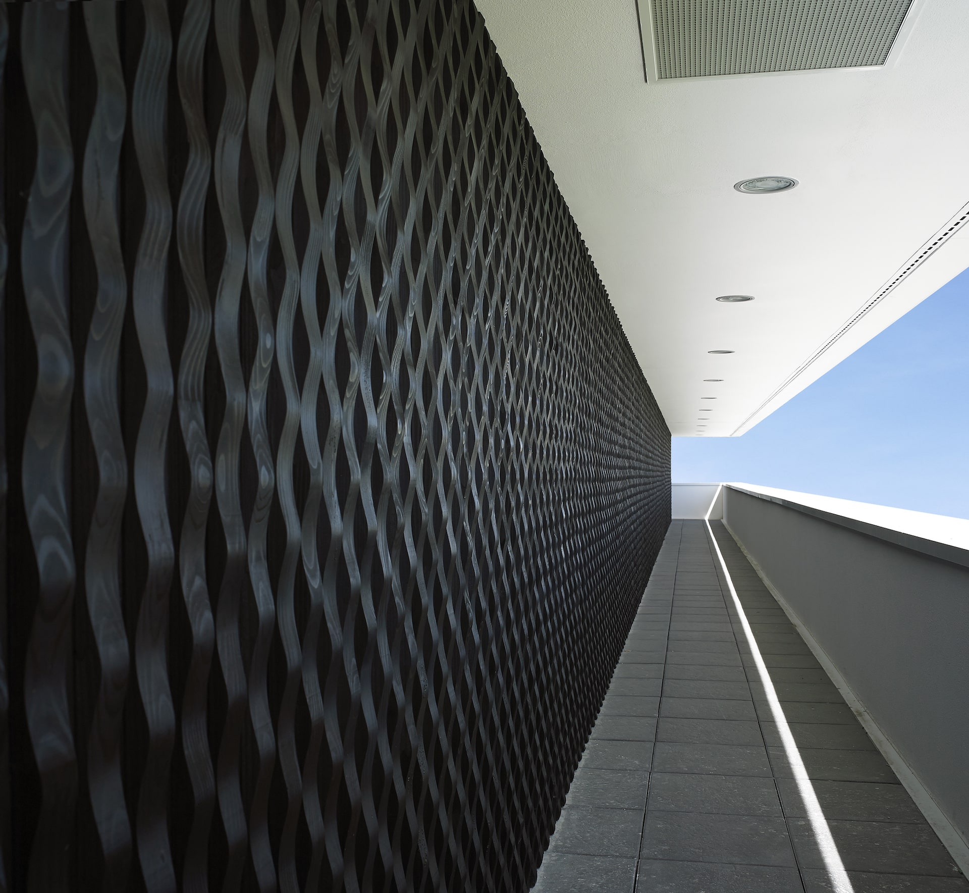 Pôle-Optique Bardage Pure Home Ondulation Noir FPBOIS